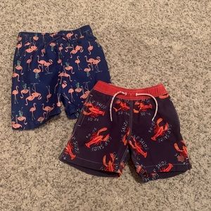 Swim 🏊‍♂️ Bundle